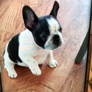 Meet your Posher, Tammy